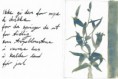 /album/laben/blomstforjul-001-1280x856-jpg/